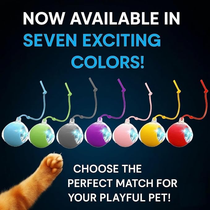 2026 New 2Pack Cat Ball Kitten Toys for Indoor Interactive Kitty Ball Toy Speedy Tail 360° Automatic Rolling Electric Moving Rechargeable,Smart Pet Chase with Rope for Bored Cats (RED & Blue) 2 Pcs