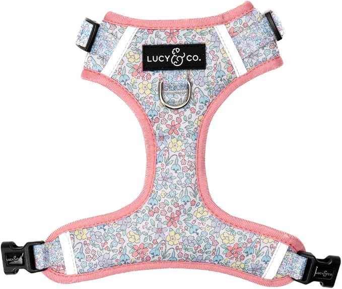 Lucy & Co. Ditsy Daydream No-Pull Dog Harness, Adjustable Front Clip Harness with Comfort Padding, Small