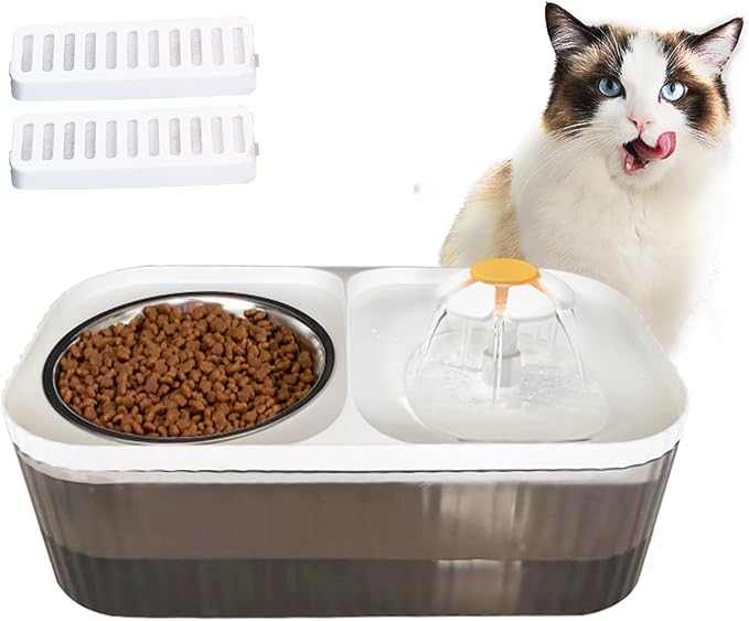 Cat Water Fountain Food Bowl Stainless Steel, 101oz/3L Automatic Pet Water Fountain, Dog Water Dispenser with Smart Pump 2 Filters for Cats, Dogs, Multiple Pets