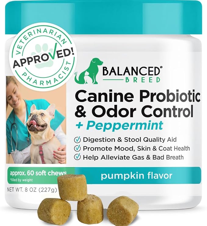 Natural Probiotics Dogs Digestive Health Soft Chews Gut Yeast Odor Control