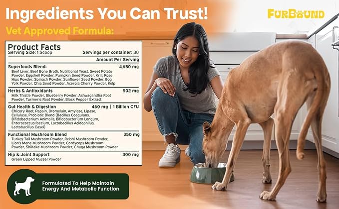 Dog Multivitamin Powder, Skin Coat Joint & Gut, Cheesy Beef