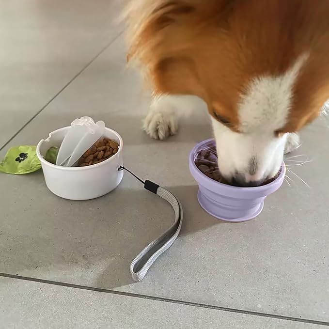 LINMENGSHU 3-in-1 Portable Dog Travel Bowl, Purple