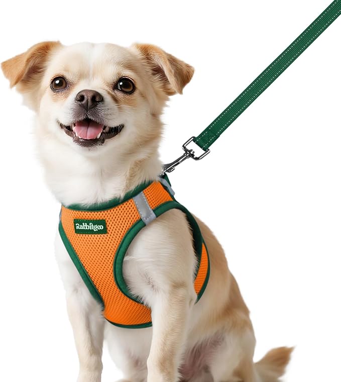 rabbitgoo Dog Harness Small Sized and Leash Set, Step in Soft Vest | Breathable Mesh, Easy Wear with Hook & Loop, Light and Reflective for Walking, Multi-colored, Orange & Dark Green, XXS