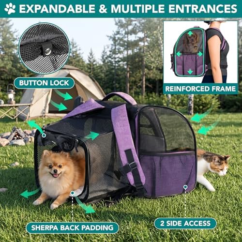 PetAmi Expandable Dog Backpack Carrier, Top Window & Multi-Entry, Up to 18 lbs, Purple