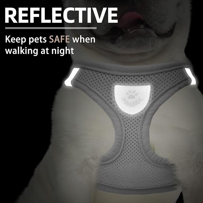 PUPTECK Adjustable Dog Harness Collar and Leash Set Step in No Pull Pet Harness for Small Medium Dogs Puppy and Cats Outdoor Walking Running, Soft Mesh Padded Reflective Vest Harnesses, Solid Grey XS