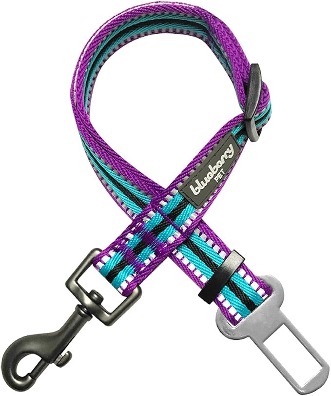 Blueberry Pet Dog Leash Puppy Essentials - 3M Reflective Adjustable Dog Seat Belt for Car, 1-Inch Width, 16.5-25.5 Inch, Violet & River Blue - Safety Tether for Secure Pet Travel