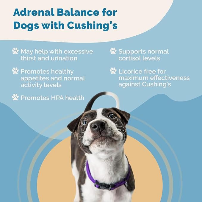 PranaPets Adrenal Balance for Dogs with Cushing’s | Naturally Relieves Symptoms of Adrenal Imbalance in Dogs | Herbal Formula for Balanced Adrenal Function