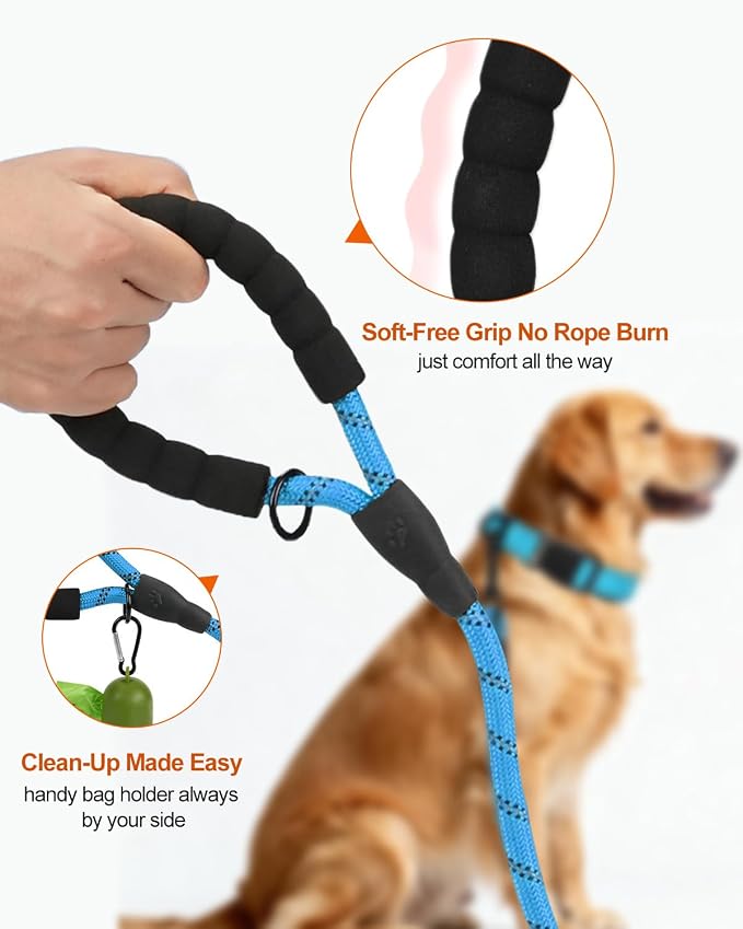Joytale Rope Dog Leash for Medium Large Dogs, Padded Handle, 5FT, Aqua Blue | Reinforced Nylon Webbing, Comfort Grip Eases Hand Strain, Swivel Clip Prevents Tangles, Visible at Night, for Outdoor Walks