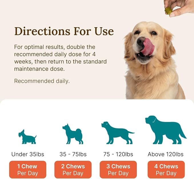 Mobility Max Dog Hip and Joint Supplement with Glucosamine, Chondroitin, MSM & Vitamin C – Hip and Joint Chews for Dogs – 9-in-1 Advance Formula – 60 Bacon Chews for Active & Senior Dogs, 240g