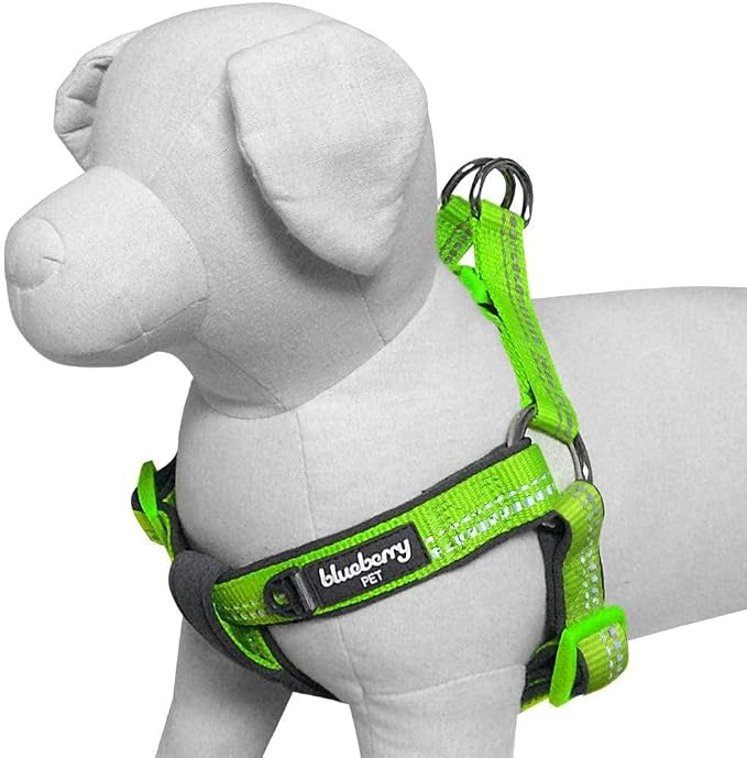 Blueberry Pet Soft & Comfy 3M Reflective Step-in Pastel Color Padded Dog Harness, Chest Girth 23.5" - 29.5", Green Flash, Large, Adjustable Harnesses for Dogs