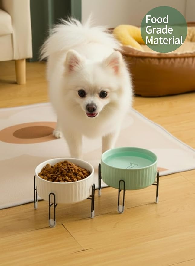 32 OZ Ceramic Dog Cat Bowls with Elevated Metal Stand, 2 Heights Elevated, 6.5 Inch Ceramic Round Pet Food and Water Feeder Bowl Dish for Cats & Dogs, White & Green