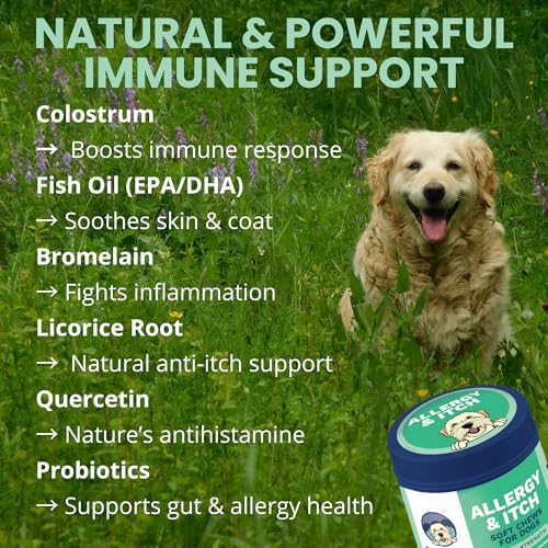 Under the Weather Allergy & Itch Pet Allergy Chews for Dogs | Vet Formulated Skin Support for Canines | Soothing Dog Allergies and Itching Relief Supplement | 60 Count
