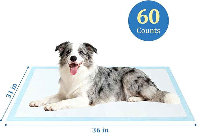 Dog Pee Pads Extra Large 31"x36" 60 Count, Disposable Puppy Training Pads, Super Absorbent Leak-Proof Pads for Dogs, Cats, Rabbits