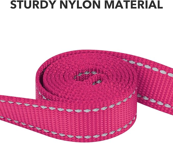 Taglory Reflective Dog Leash for Small Dogs, 3/4in x 6ft, Hot Pink | Ideal for Night Walking, Strong for Sudden Pulls, Lightweight & Gentle on the Neck, Soft Padded Handle