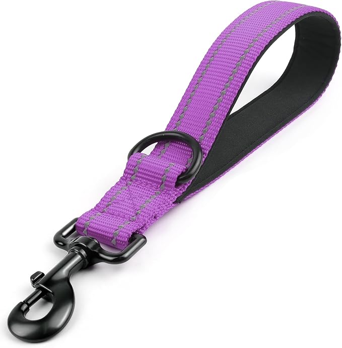 Joytale Short Dog Leash for Close Control & Training, 12", Purple | Padded Comfort Handle, Reinforced Nylon Webbing, Secure Metal Clip, for Busy Streets & Heel Training