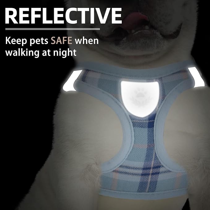 PUPTECK Adjustable Dog Harness Collar and Leash Set Step in No Pull Pet Harness for Small Medium Dogs Puppy and Cats Outdoor Walking Running, Soft Mesh Padded Reflective Vest Harnesses, Blue M