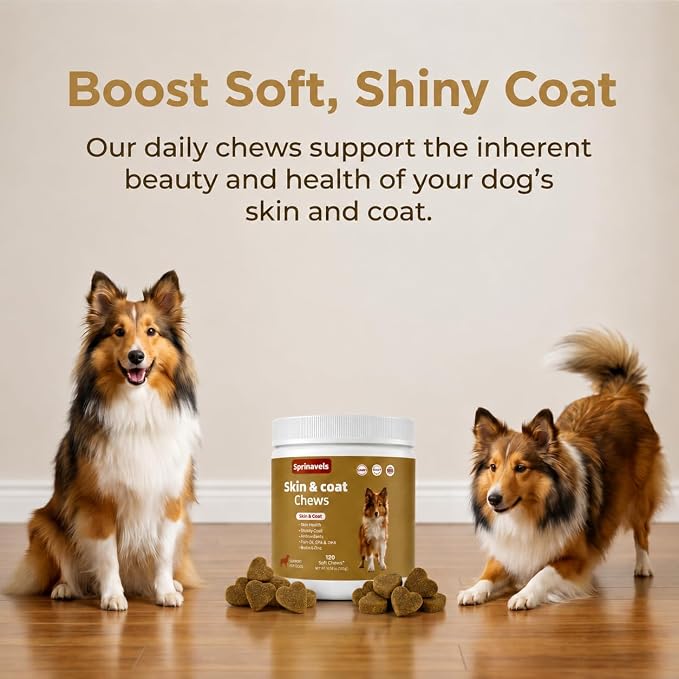 Dog Skin & Coat Chews with Omega Fish Oil, 120 Soft Chews