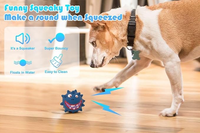 4Pcs Squeaky Dog Toys Set - Non-Toxic Natural Latex Rubber Balls with Oinking for Large, Medium, Small Dogs - Durable Decorative Cute Faces for Fun