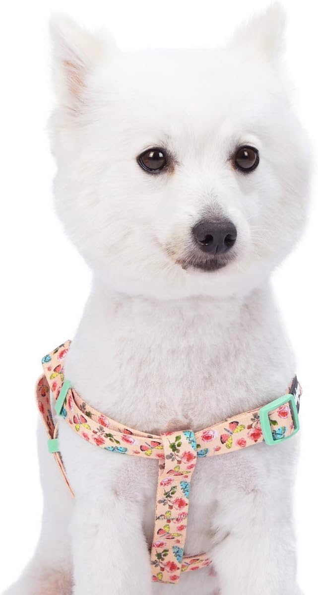Blueberry Pet 9 Patterns Step-in Spring Scent Inspired Rose and Butterfly Print Pastel Pink Dog Harness, Chest Girth 16.5" - 21.5", Small, Adjustable Harnesses for Dogs