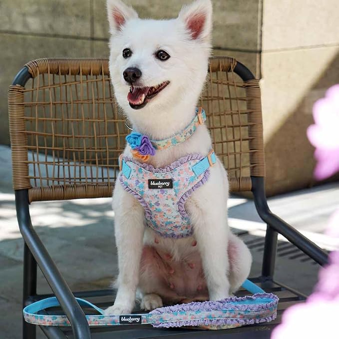 Blueberry Pet Soft & Comfy Made Well Lovely Floral No Pull Mesh Puppy Dog Harness Vest in Lavender, Chest Girth 14"-16", X-Small, Adjustable Harnesses for Dogs & Cats