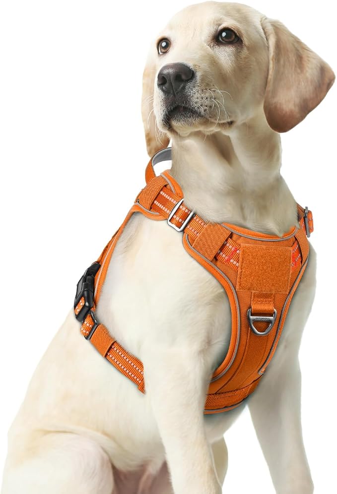 rabbitgoo Tactical Dog Harness Medium Sized, No Pull Service Pet Vest | Military Molle System & Easy Control Handle, Adjustable and Reflective for Walking and Training, Orange, Medium