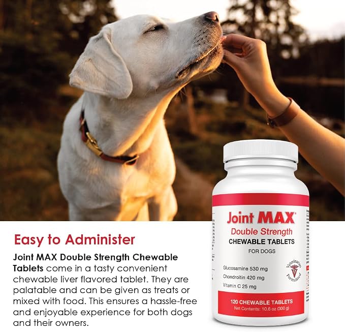 Double Strength - Vitamins, Minerals, Antioxidants - Maximum Joint Health Supplement for Dogs - 120 Chewable Tablets