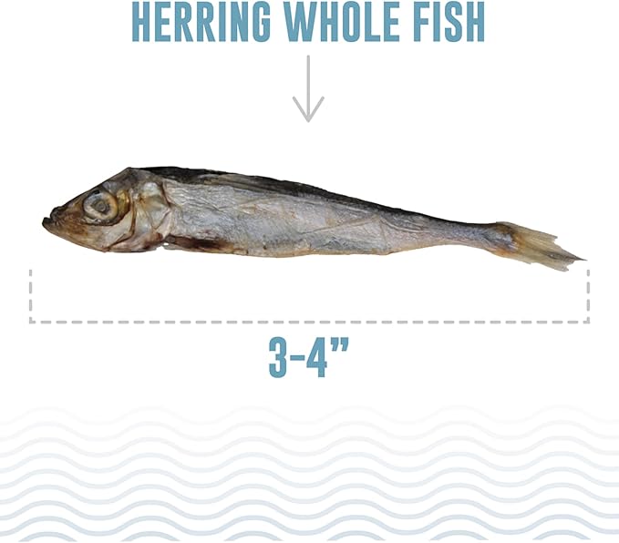 Icelandic+ Whole Fish Herring 9oz Bag, Wild-Caught Air-Dried Dog Treats