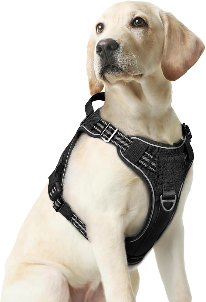 rabbitgoo Tactical Dog Harness Medium Sized, No Pull Service Pet Vest | Military Molle System & Easy Control Handle, Adjustable and Reflective for Walking and Training, Black, Medium