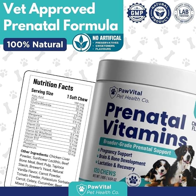 Dog Prenatal Vitamins for Pregnant & Nursing Dogs – 120 Soft Chews with Folic Acid, DHA, Choline, Iron & Calcium – Prenatal Multivitamin Supplement for Puppy Development, Pregnancy & Lactation Support