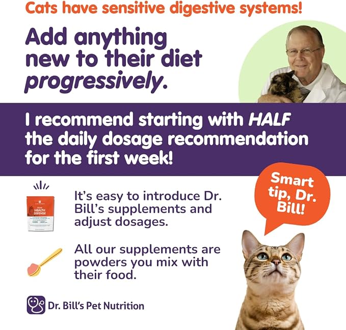 Dr. Bill’s Feline Complete Joint Care | Advanced Hip & Joint Supplement for Cats | Green Lipped Mussel Extract, Collagen Type II, Chondroitin, Hyaluronic Acid, Omega 3 and Colostrum | Powder, 85g