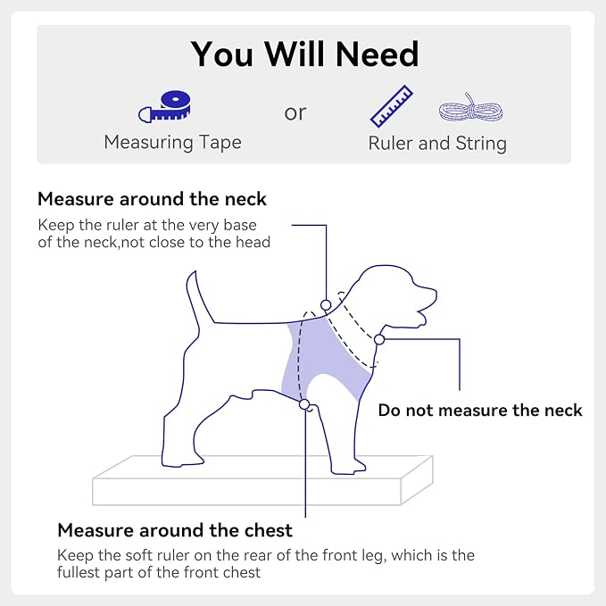 Joytale Step-in Dog Harness, Soft Breathable Mesh, Navy Blue M | Adjustable Fit for Small Dogs, Easy Step-in with Secure Fastener, Even Chest Pressure, Reflective For Night Safety, Washable