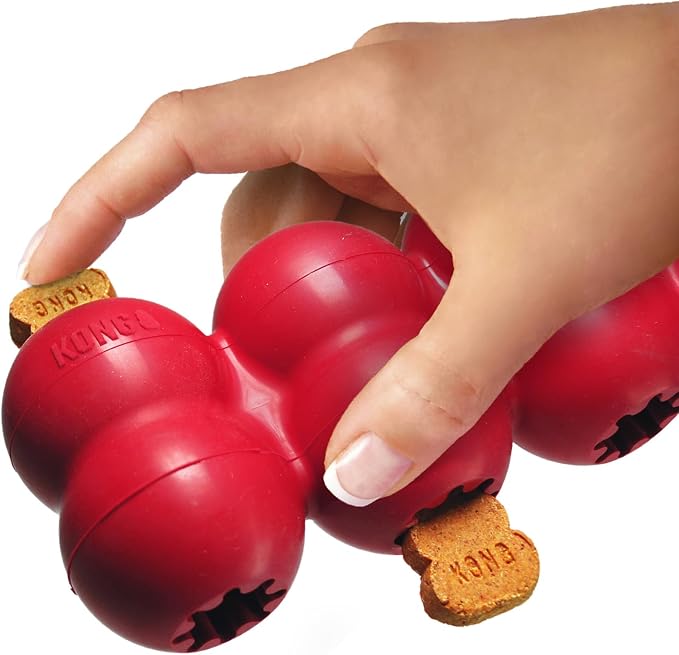 KONG Goodie Ribbon, Stuffable Natural Rubber Dog Toy, for Medium Dogs | Stuffable Bone-Shaped Rubber Toy with Four Fillable Goodie Grippers for Fun, Treat-Based Enrichment Play