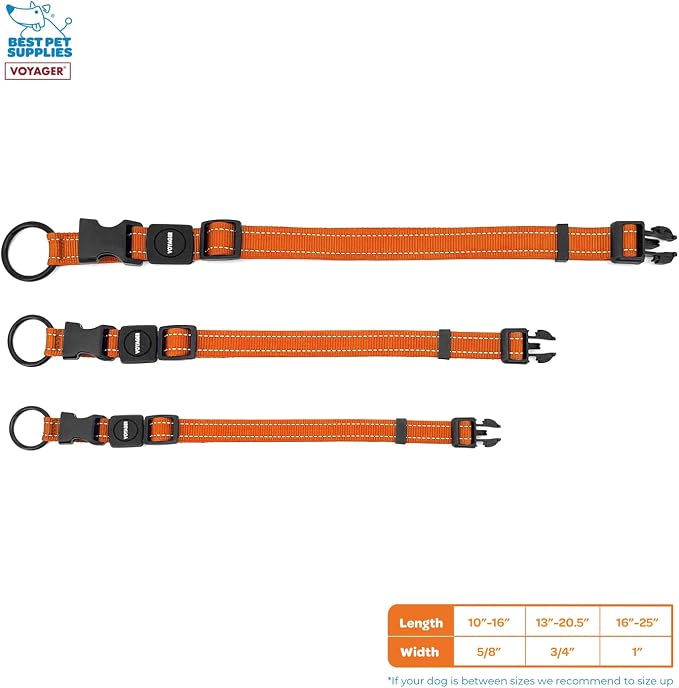 Best Pet Supplies Voyager Reflective Dog Leash or Collar with Neoprene Handle, for Small, Medium, and Large Breed Puppies, Cute and Heavy Duty for Walking, Running and Training - Orange, M
