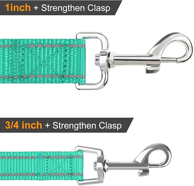 Joytale Dog Collar Bundle with 5FTx3/4 Width Double-Sided Reflective Dog Leash,5FT Nylon Dog Leashes with Nylon Dog Collar for Small Dogs,Teal