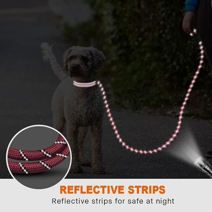 Taglory Rope Dog Leash for Small Medium Dogs, 4 FT Padded Handle, Pink | Made of Climbing Rope, Reflective for Night Walks and Training, Comfortable Grip, Anti-tangle Swivel Clip, 3/8 inch