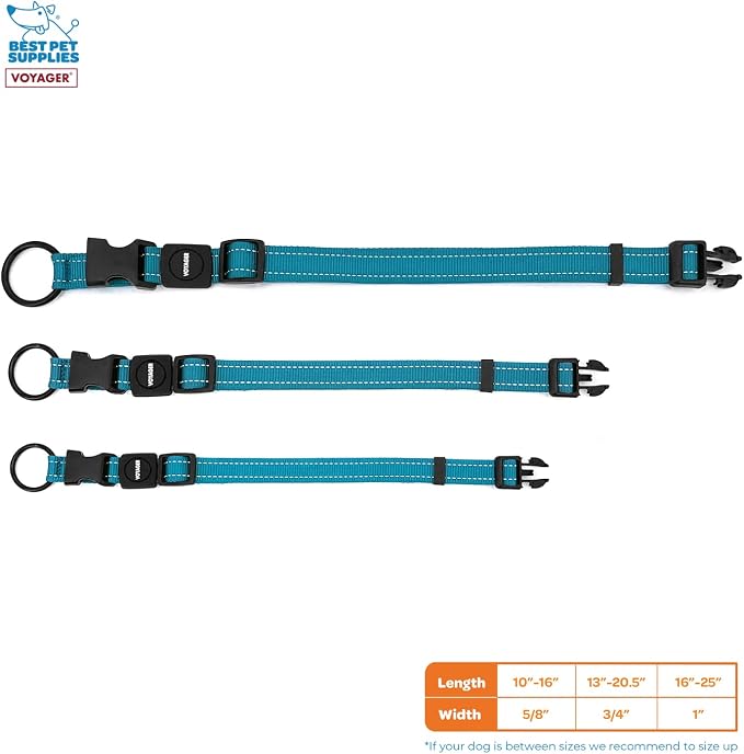 Best Pet Supplies Voyager Reflective Dog Leash or Collar with Neoprene Handle, for Small, Medium, and Large Breed Puppies, Cute and Heavy Duty for Walking, Running and Training - Turquoise, M