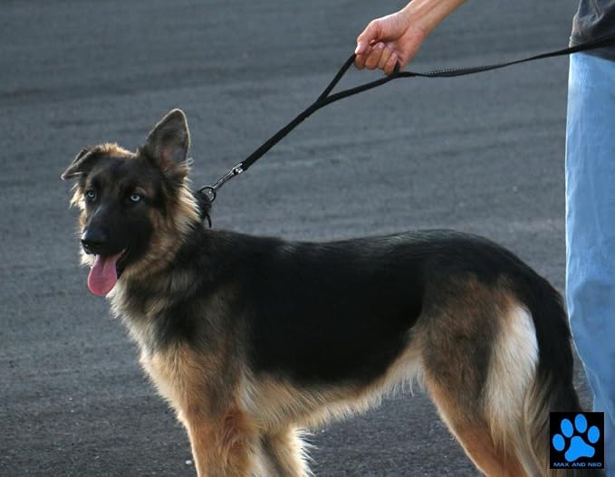 Max and Neo Double Handle Traffic Dog Leash - Reflective, Donates to Dog Rescue (Pink, 6 FT)