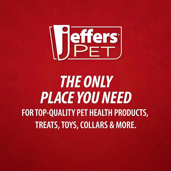 Jeffers Pet Cream Rinse Conditioner for Dogs & Cats, 17 oz - Coconut Oil Based Pet Conditioner for Detangling, Soft Coat & Static Control, Concentrated Soap Free Formula for Sensitive Skin, USA Made