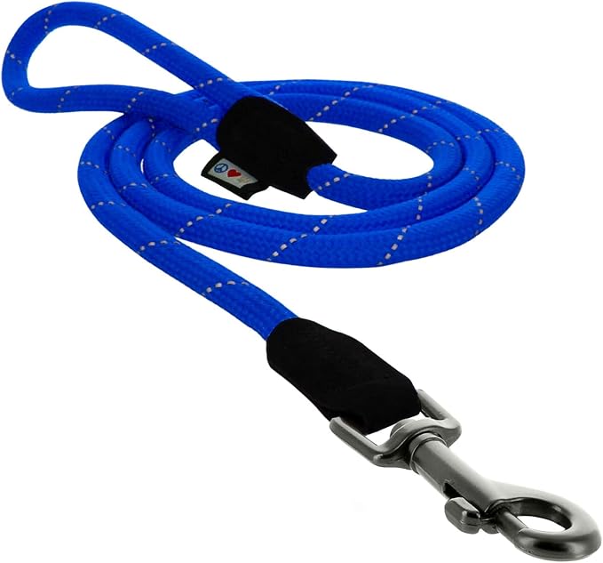 Pawtitas Blue Rope Dog Leash, Medium/Large, 6 ft.