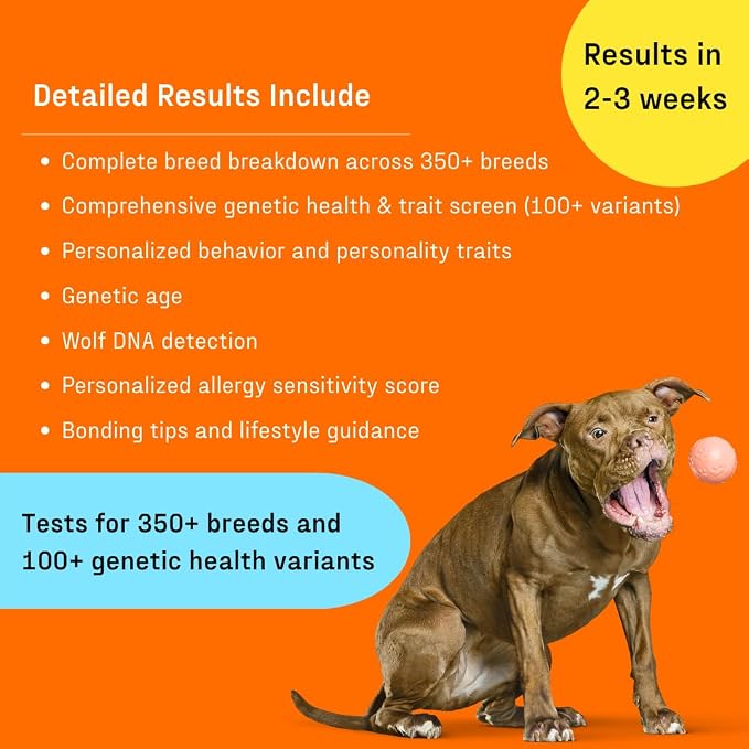 DNA My Dog Premium DNA Test - Metal, White