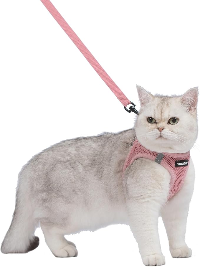Voyager Step-in Pet Harness - All Weather Mesh, Adjustable Step in Harness for Cats and Dogs by Best Pet Supplies - 307S Pink, S