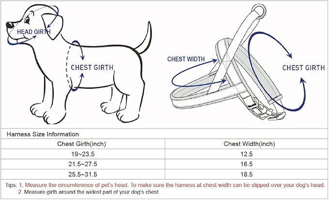 Blueberry Pet 4 Colors Soft & Comfy 3M Reflective Jacquard Padded Dog Harness, Chest Girth 25.5" - 31.5", Palace Blue, M/L, Adjustable Harnesses for Dogs