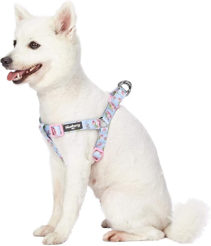 Blueberry Pet 9 Patterns Step-in Spring Scent Inspired Rose Blossom Floral Print Pastel Blue Dog Harness, Chest Girth 16.5" - 21.5", Small, Adjustable Harnesses for Dogs