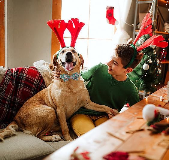 Lionet Paws Christmas Dog Collar, Cute Winter Red Green Dog Collar for Large Dogs, Adjustable Cotton Grid Pet Collars for Large Dogs