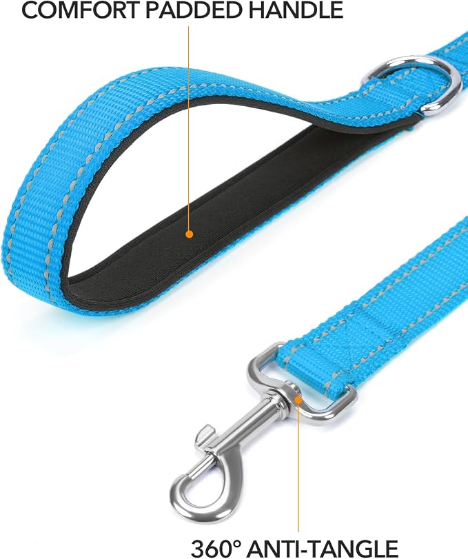 Taglory Reflective Dog Leash for Small Dogs, 3/4in x 5ft, Sky Blue | Ideal for Night Walking, Strong for Sudden Pulls, Lightweight & Gentle on the Neck, Soft Padded Handle