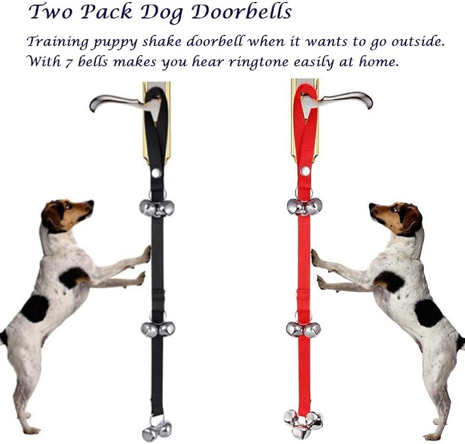 Dog Training Kit, Set of 8