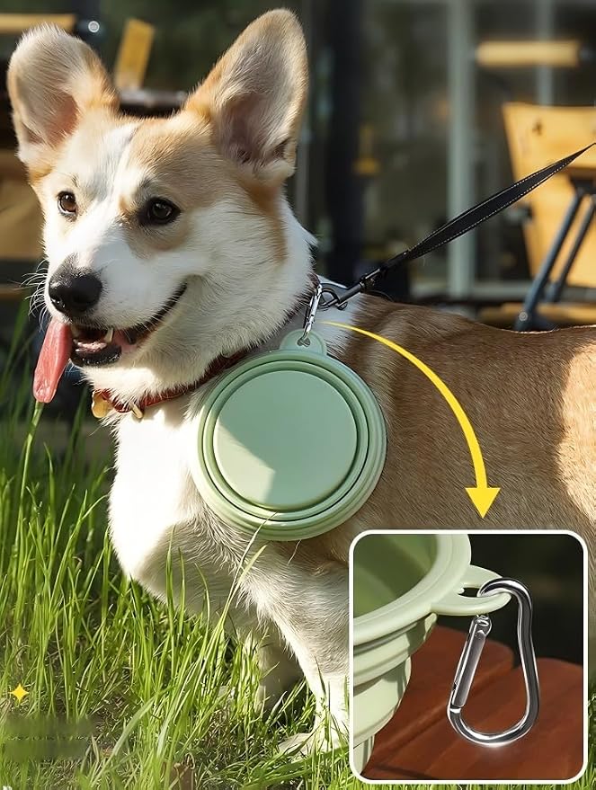 2-Pack Collapsible Dog Bowls for Large Breed, 22oz