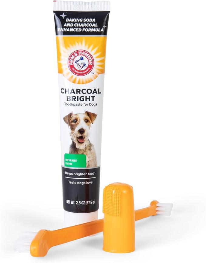 Arm & Hammer Dog Dental Care Fresh Breath Kit, Mint Flavor, 3-Pieces | Includes baking soda toothpaste and toothbrush, for plaque removal, daily dental care routine, dogs, mint