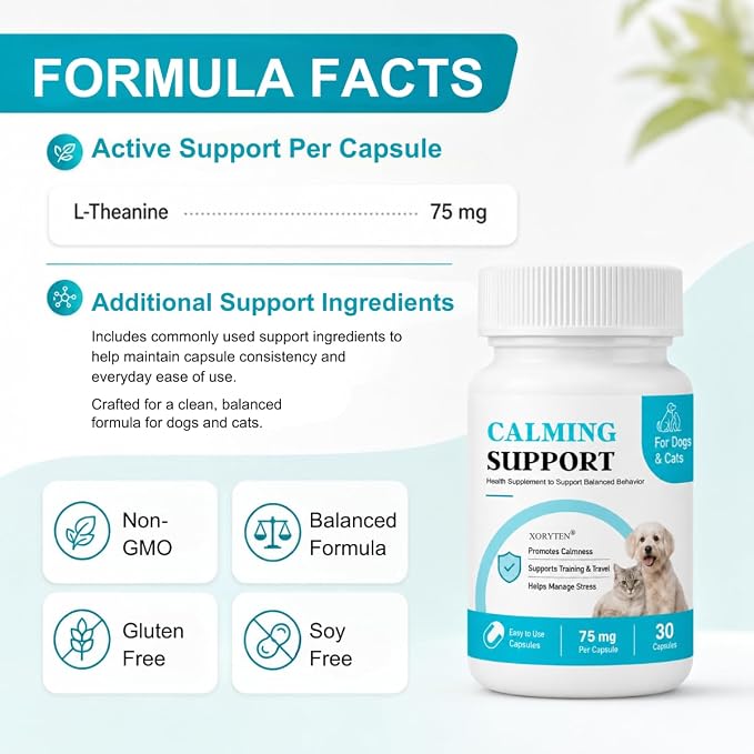 Calming Support Supplement for Small Dogs & Cats, Small