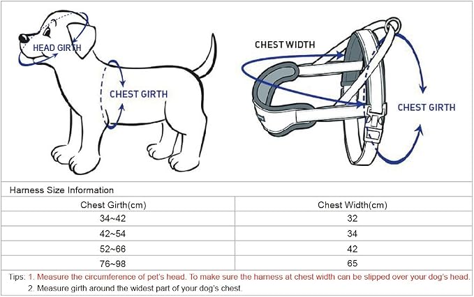 Blueberry Pet 8 Colors Soft & Comfy 3M Reflective Strips Padded Dog Harness Vest, Chest Girth 16.5" - 21", Red, Small, Nylon Adjustable Training Harnesses for Dogs